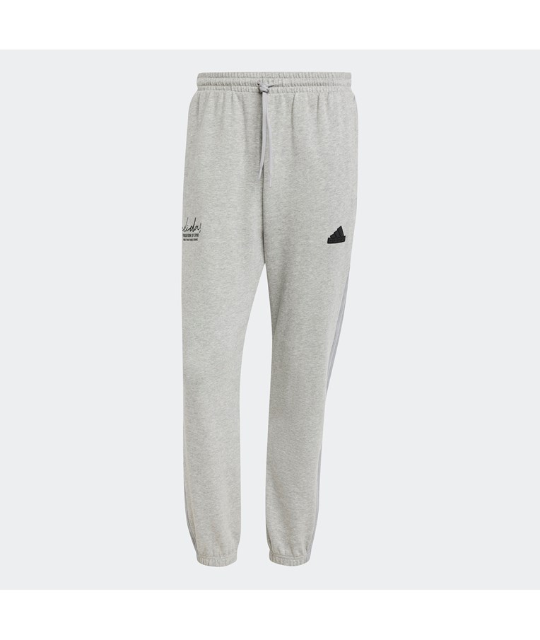 Moške športne hlače ADIDAS BL FT PNT Q3