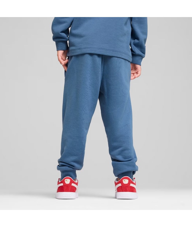 Otroške športne hlače PUMA ESS+ PUMA FC Sweatpants TR