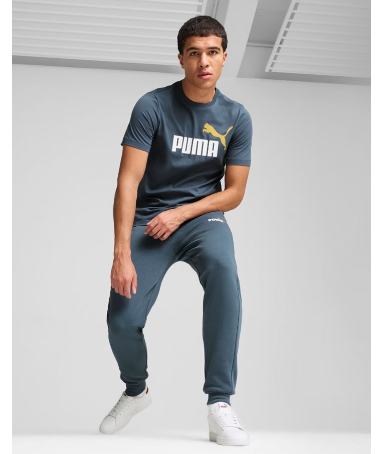 Moške športne hlače PUMA ESS+ 2 Col Logo Pants FL cl