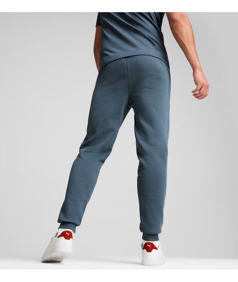 Moške športne hlače PUMA ESS+ 2 Col Logo Pants FL cl