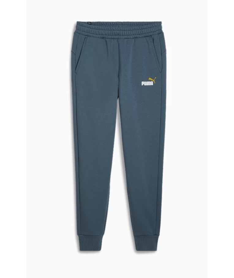 Moške športne hlače PUMA ESS+ 2 Col Logo Pants FL cl