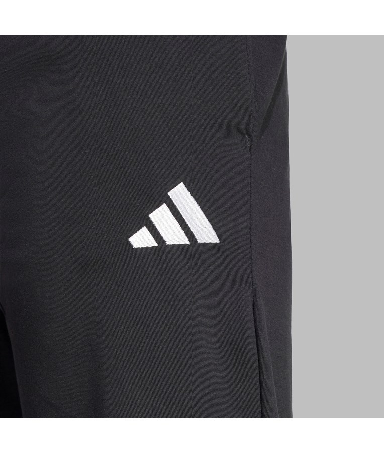 Moške športne hlače ADIDAS M SL SJ TO PT